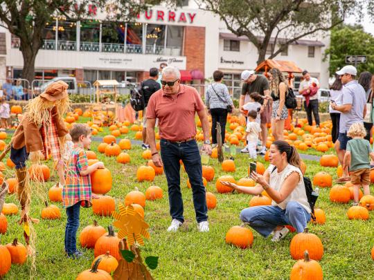 Coral Gables Pumpkin Patch 2