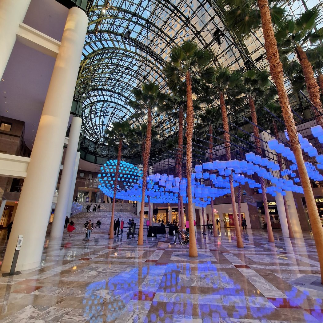 Winter Garden Festive Treats 2