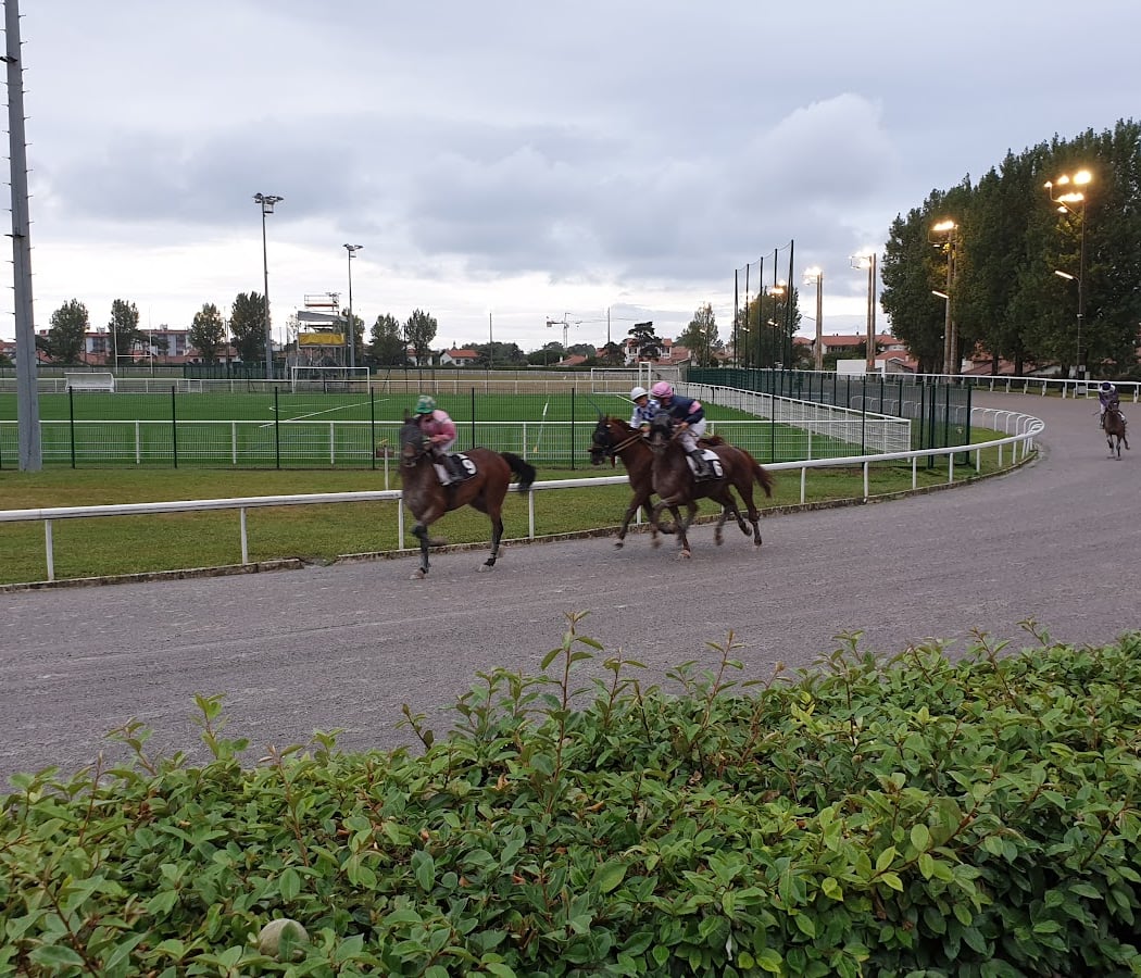 Racecourse of Flowers 3