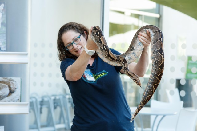 Meet a Live Animal 2