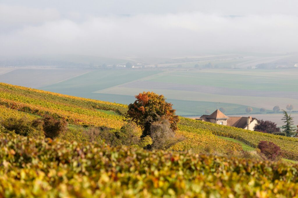 Épernay 2