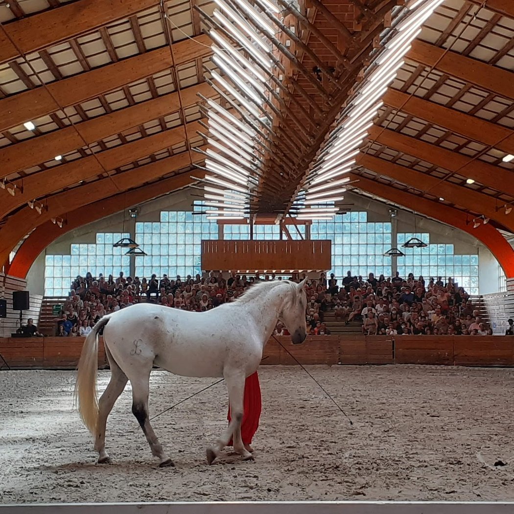 Haras National de Lamballe 3