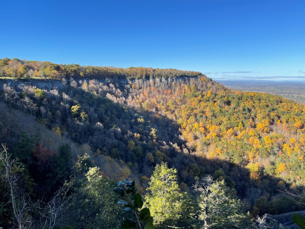Thacher State Park 4