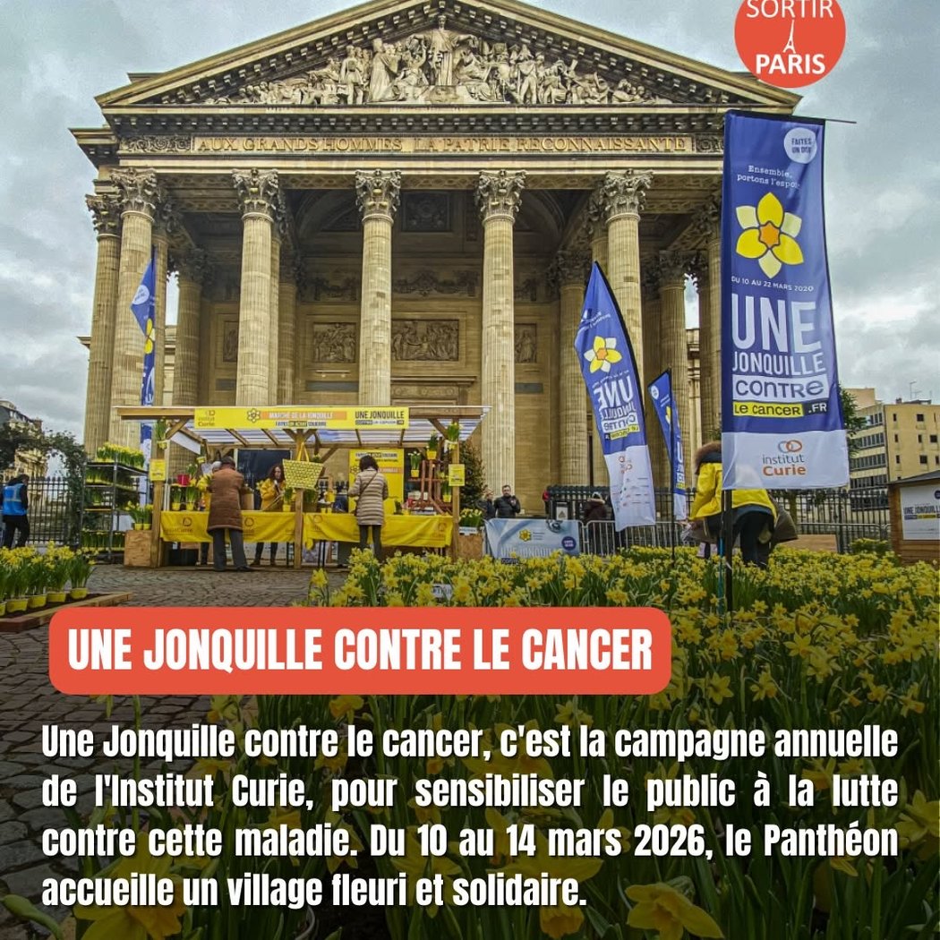 Une Jonquille contre le cancer 1