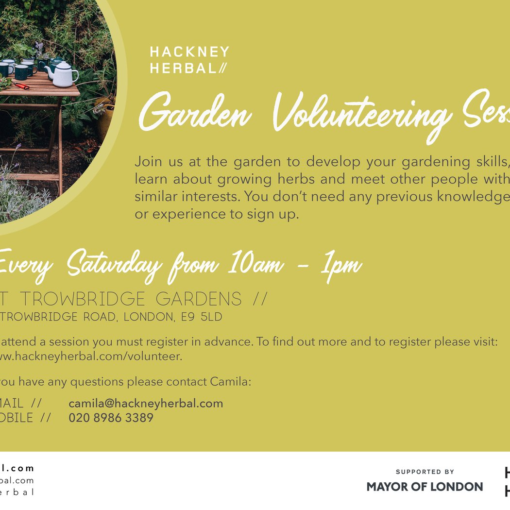 Hackney Herbal Garden Volunteering Session