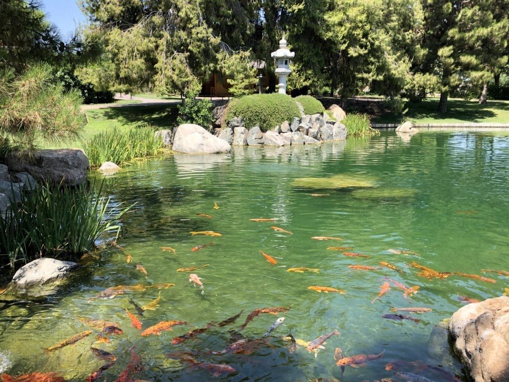 Japanese Friendship Garden of Phoenix 4