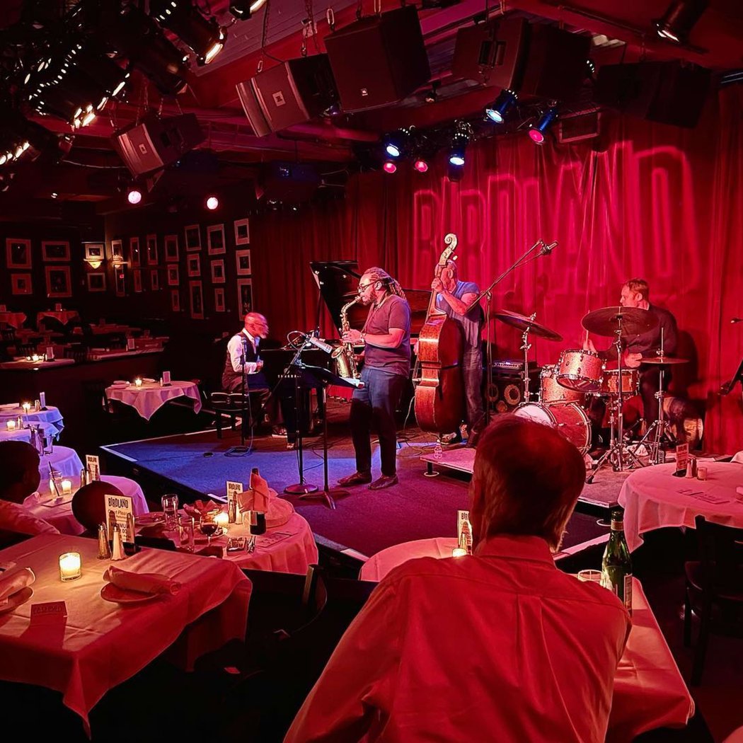 Birdland 1