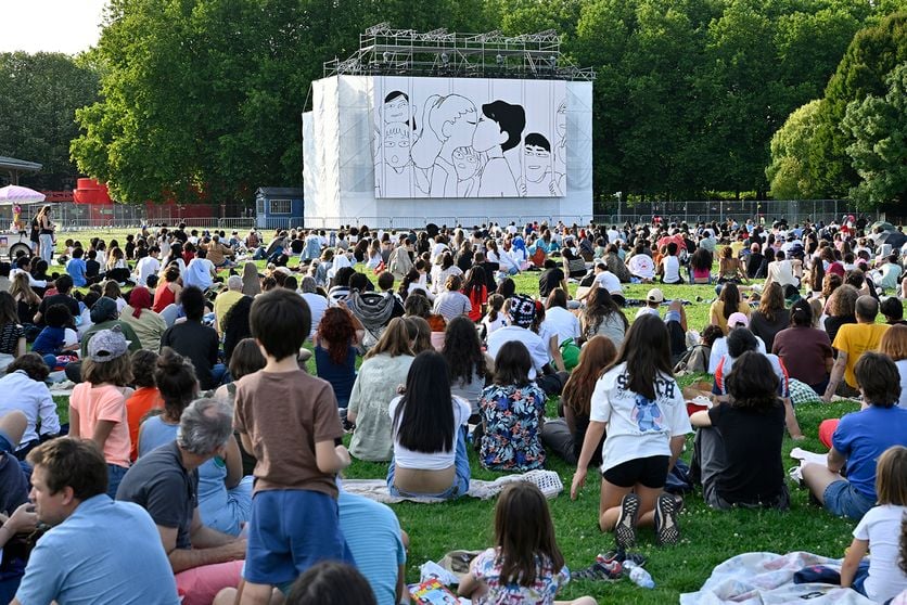 Cinéma en plein air 1