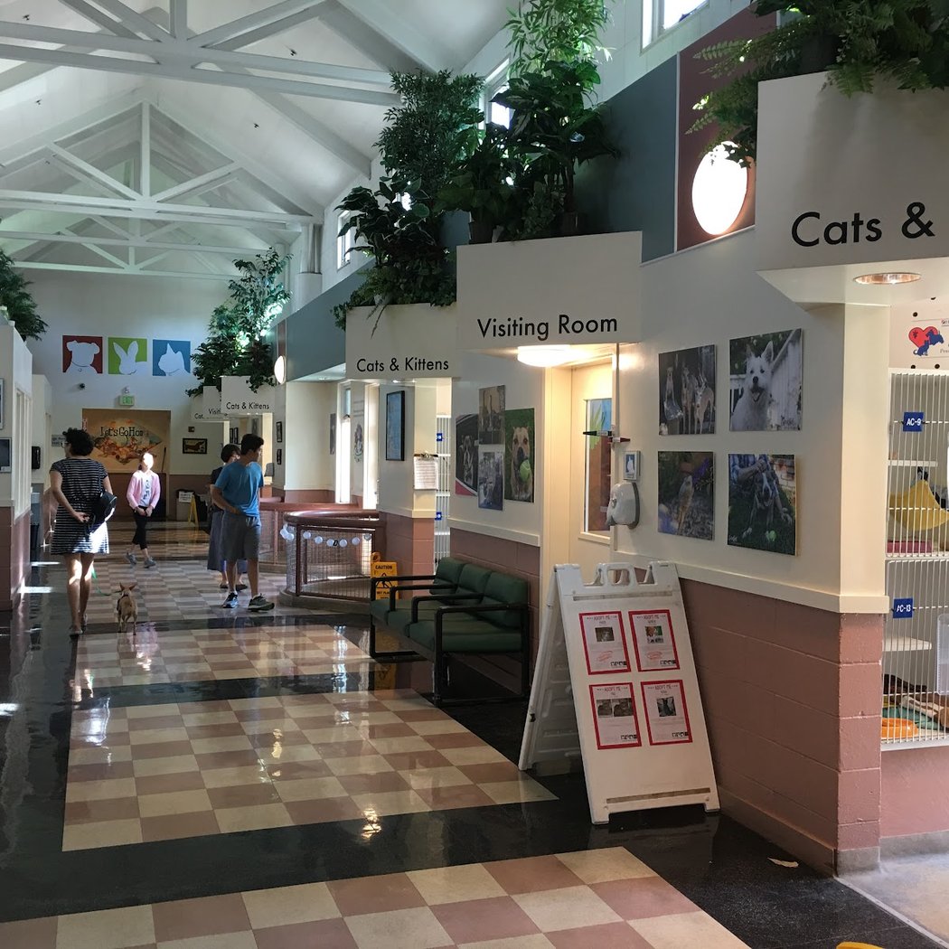 Oakland Animal Services 2