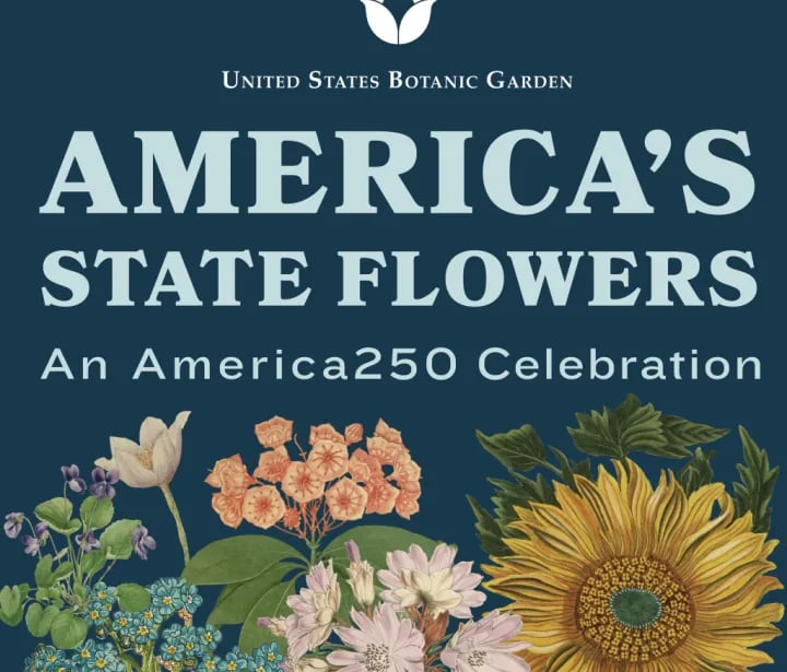 America's State Flowers: An America250 Celebration Exhibit
