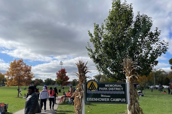 Eisenhower Park 3