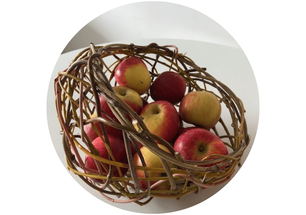 Coupe à fruits en osier - Atelier adulte 1
