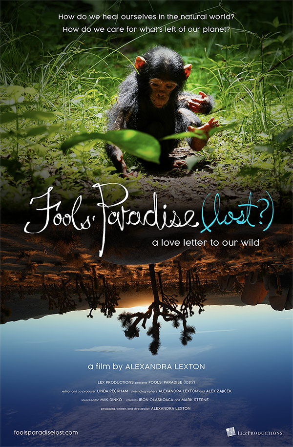 Fool’s Paradise Lost 1