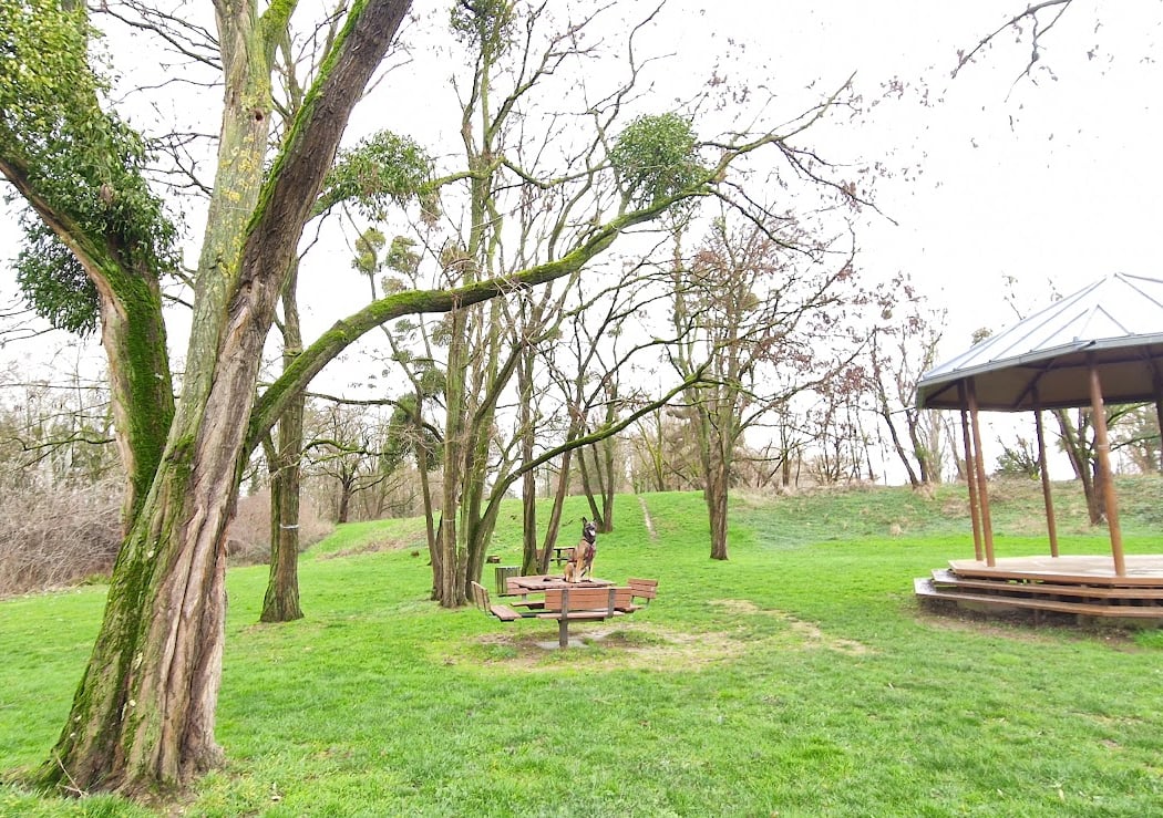 Parc de l’île saint Denis 3