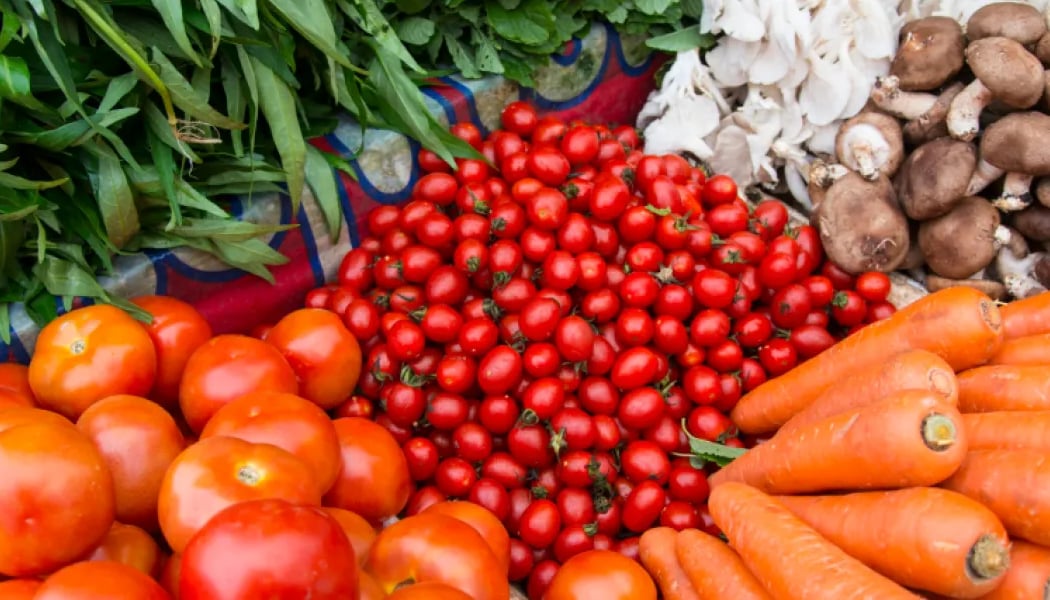 Farmstand at the National Geographic Museum of Exploration