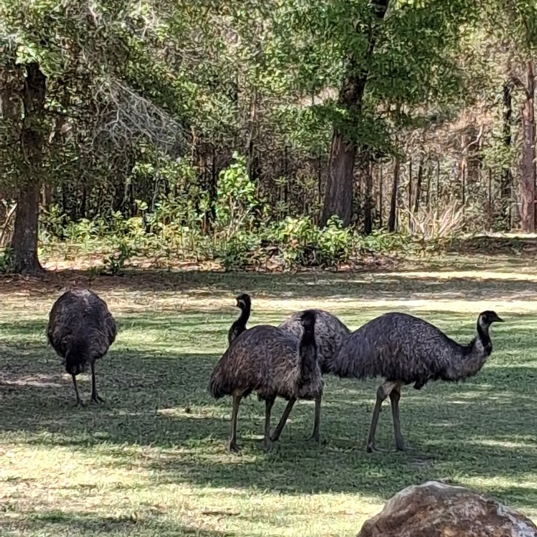 Chehaw Park & Zoo 2