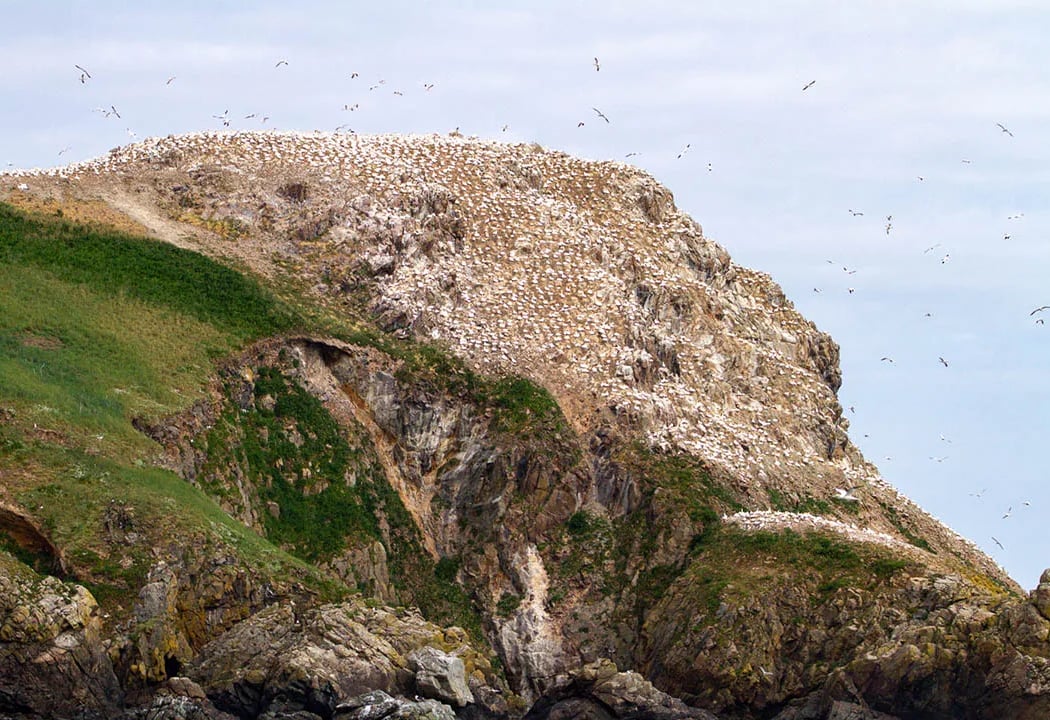 Perros-Guirec 1