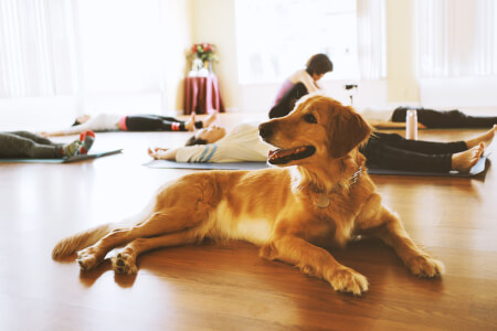 Jiaren Yoga Studio 1