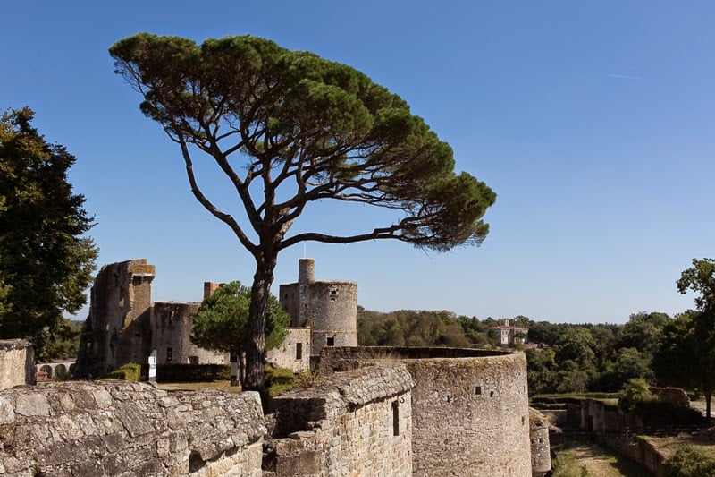 Visites guidées gratuites au château de Clisson 5