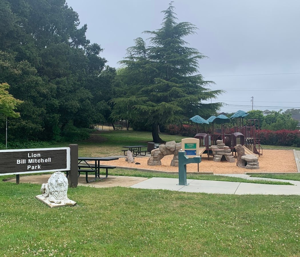 Lion Bill Mitchell Park 2