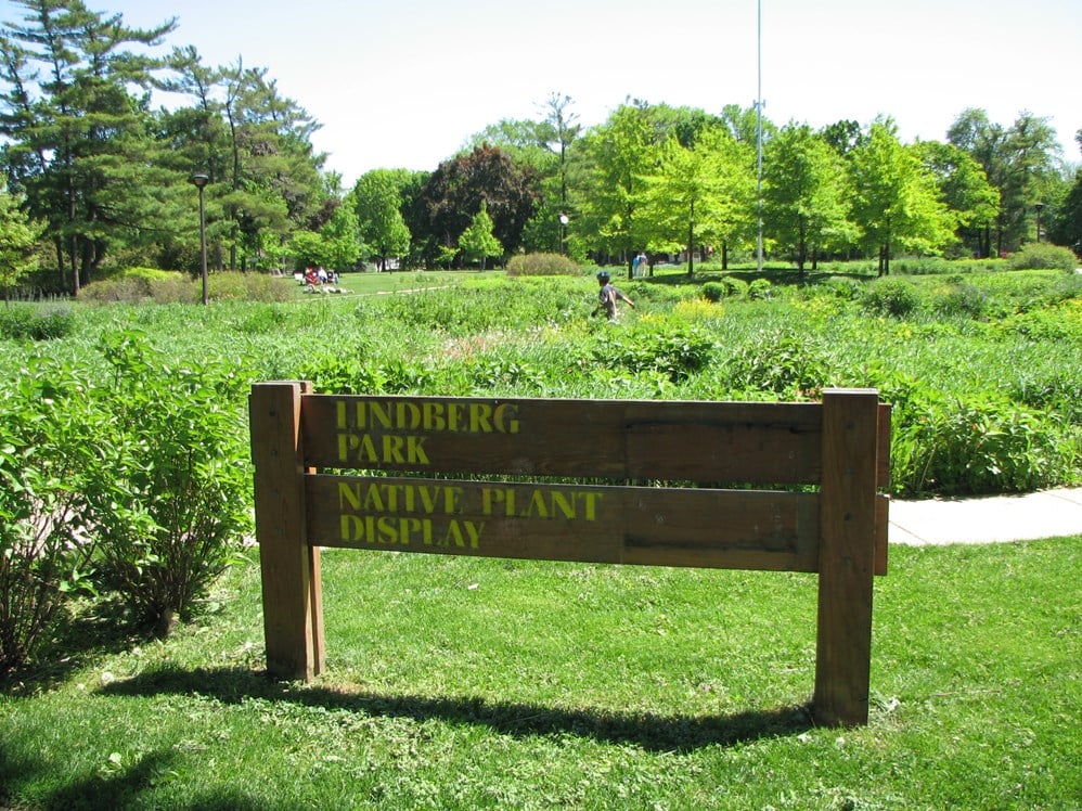 Lindberg Park 2