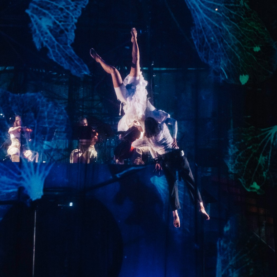 Le Petit Cirque 2