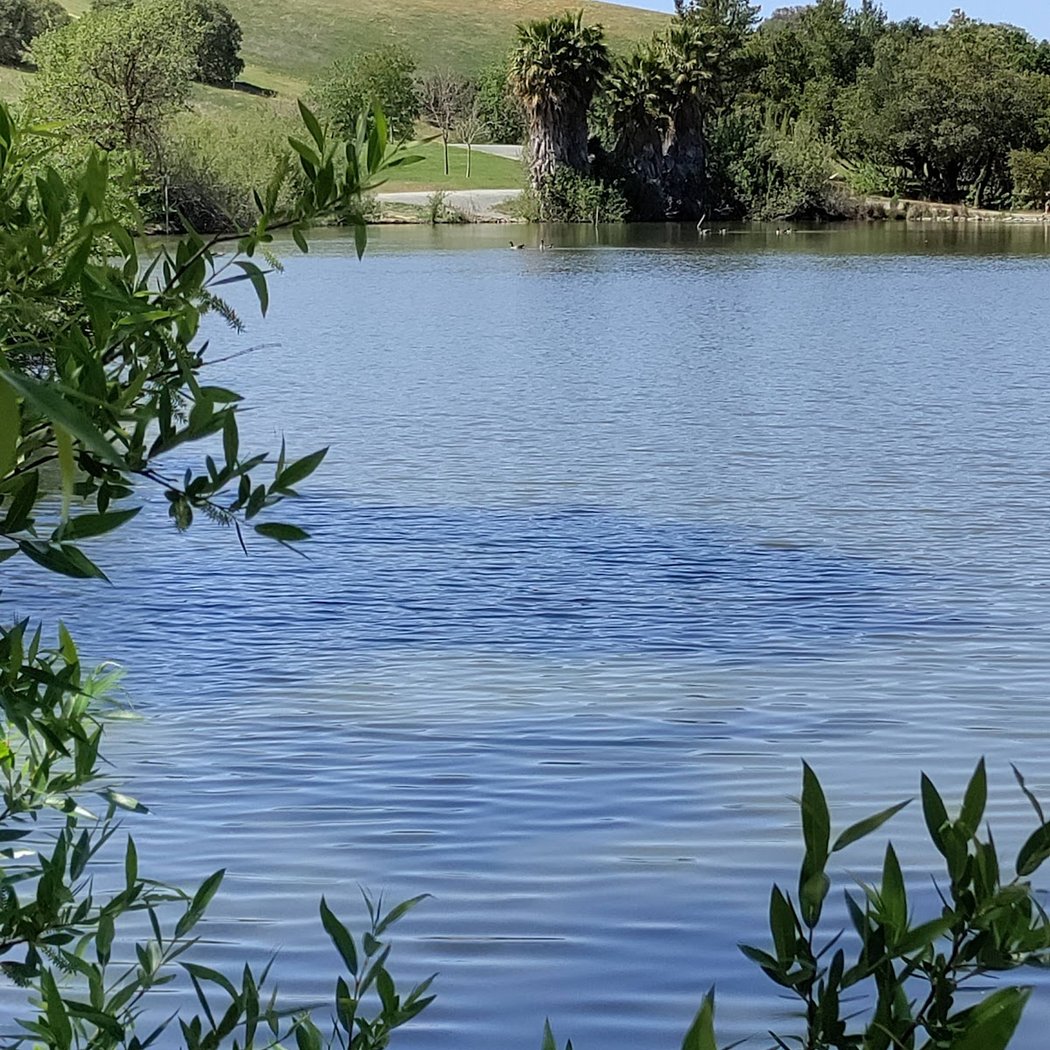 Newhall Dog Park 2