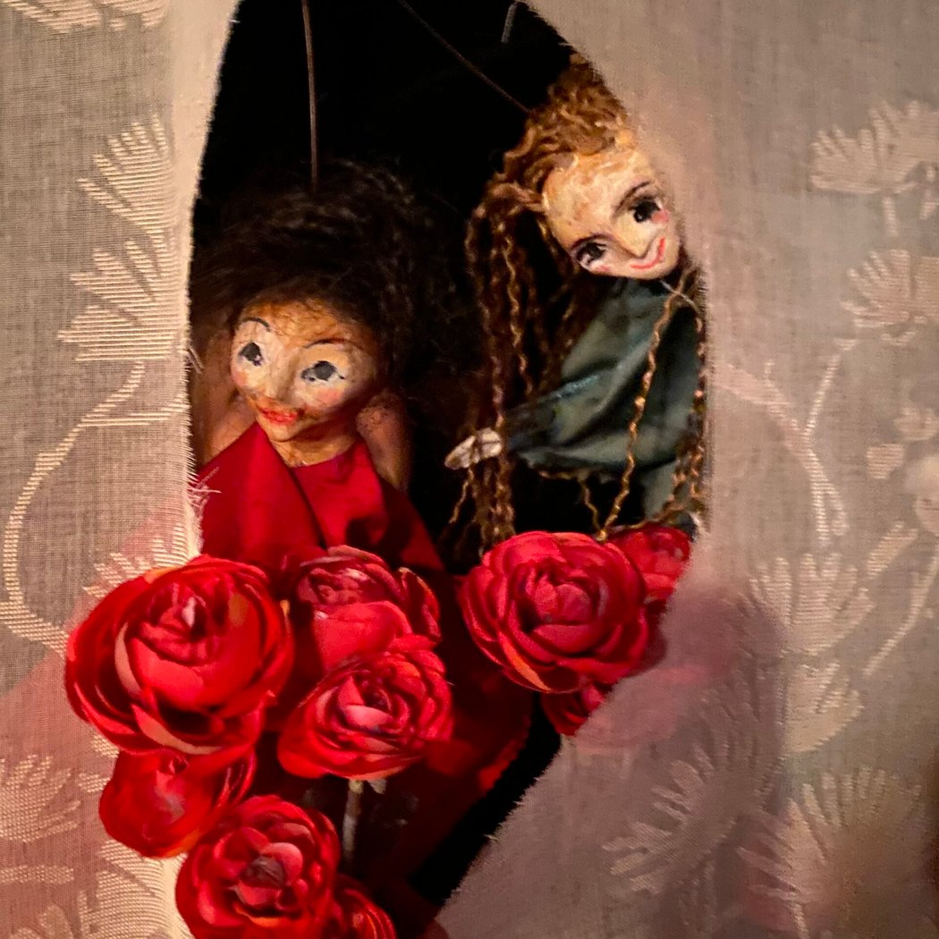 Blanche rose et rose rouge 1