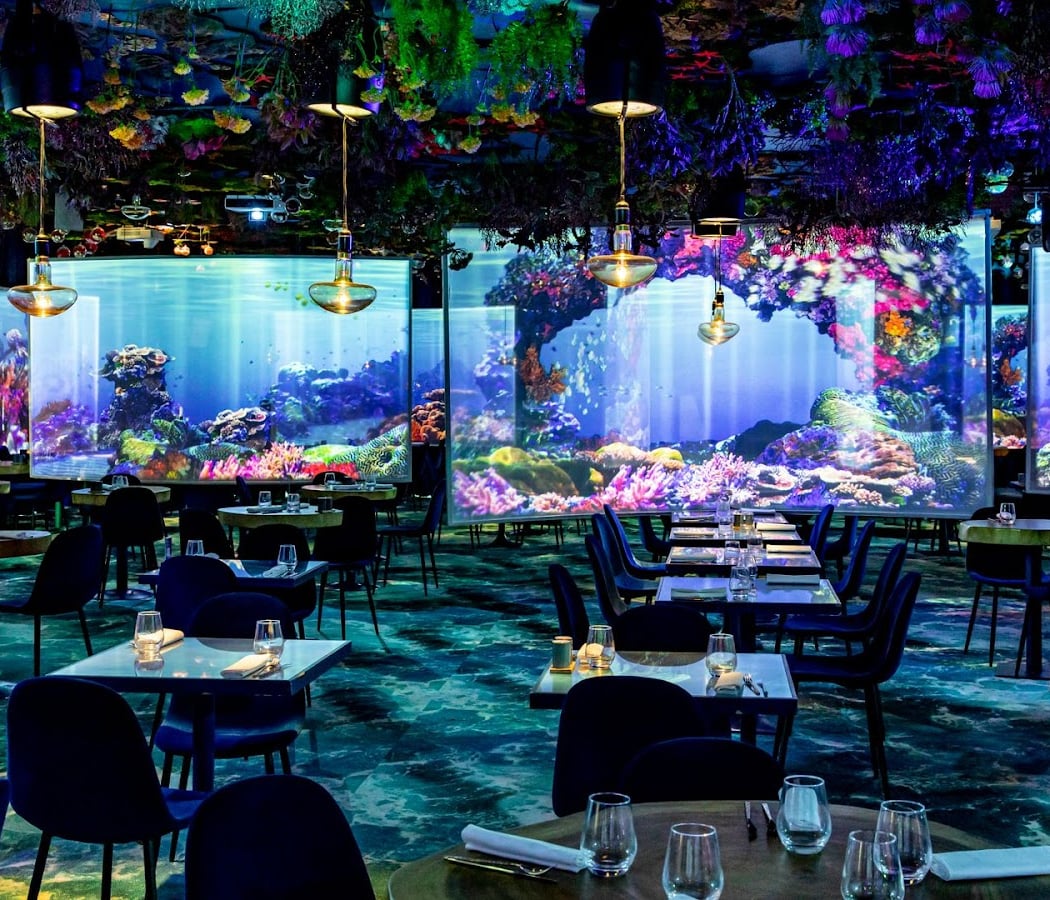 Under the sea 1