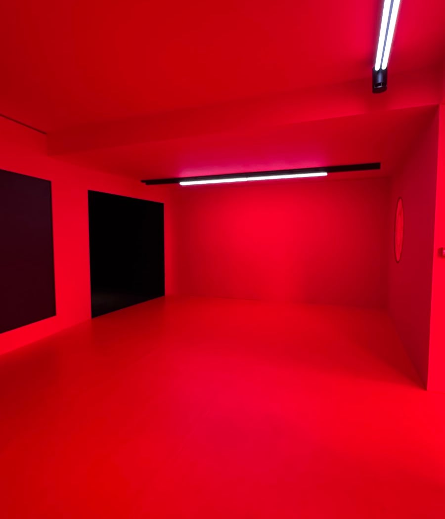 Exposition Daniel Buren et Miles Greenberg 5