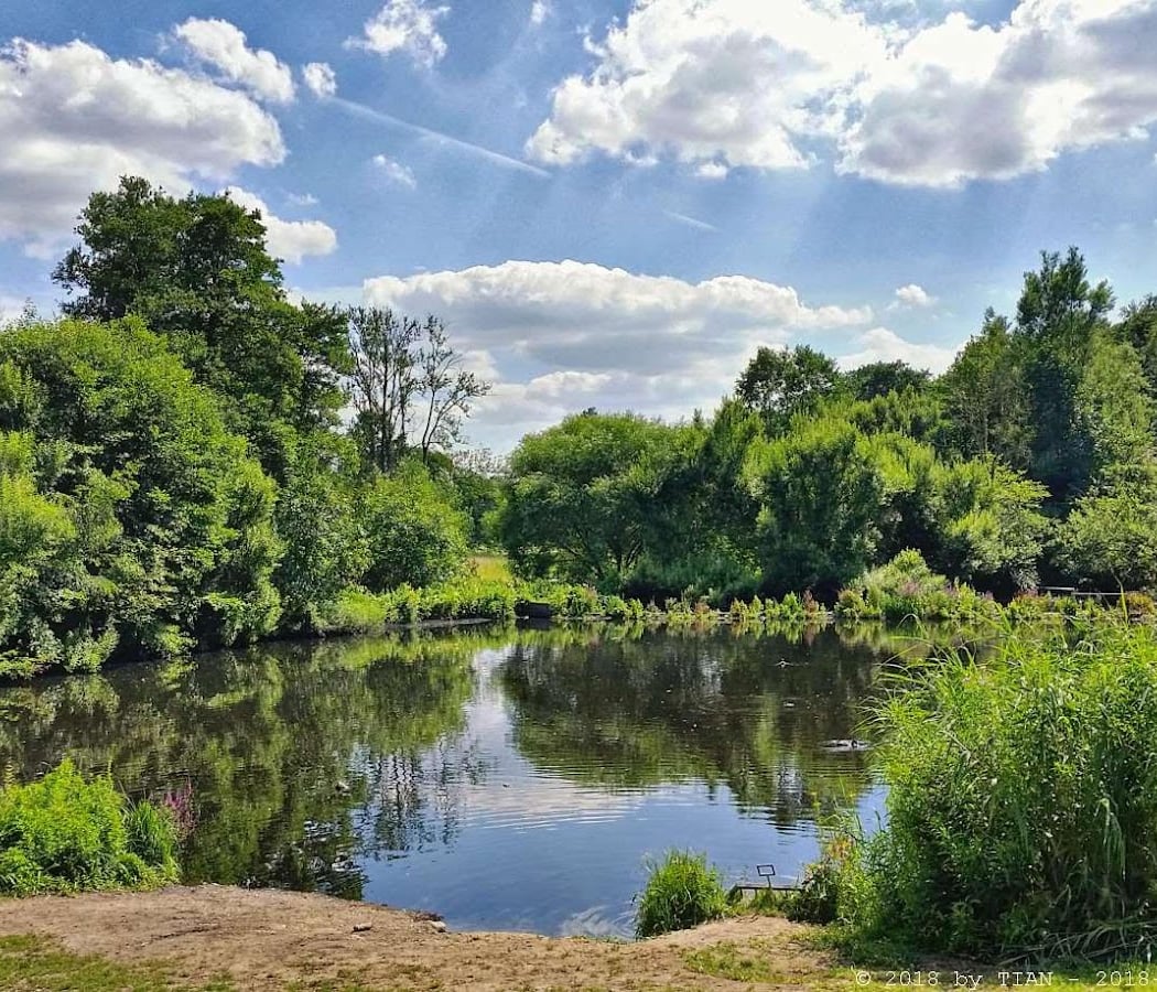 Jenischpark 2