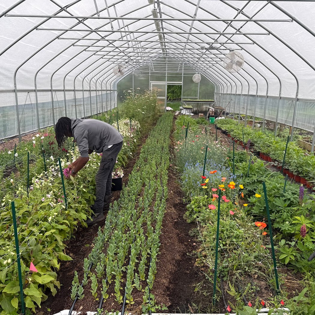 Downing Park Urban Farm 2