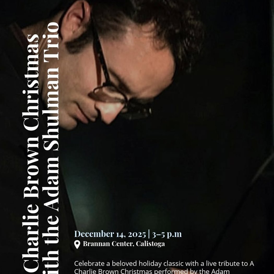 Live Concert with the Adam Shulman Trio 1