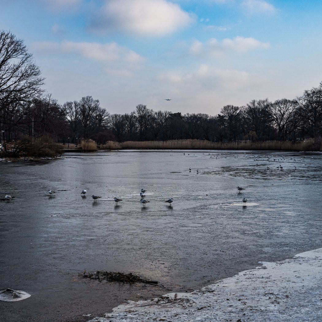 Brookville Park 2