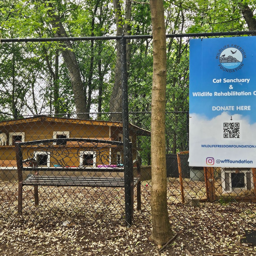 Wildlife Freedom Foundation 2