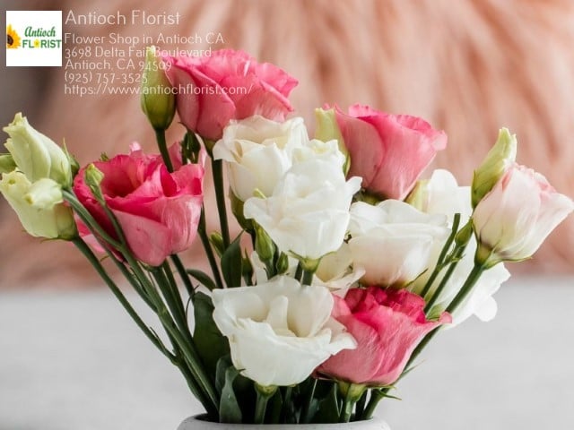 Antioch Florist 1
