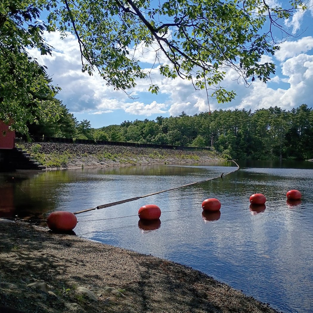 Water Chestnut Pull in Chicopee 2