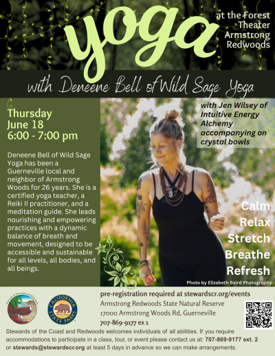 Yoga in the Redwoods with Deneene 1