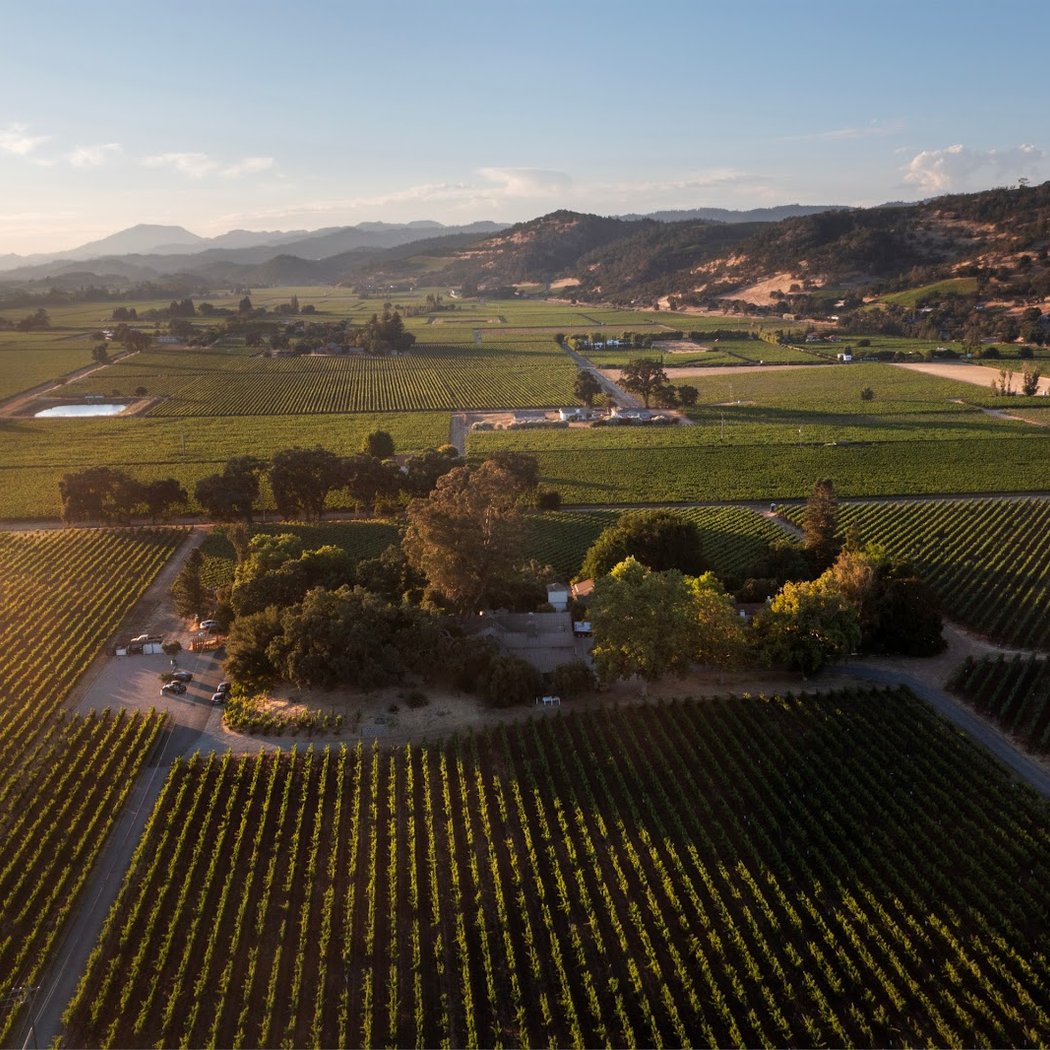 PlumpJack Estate Winery 2