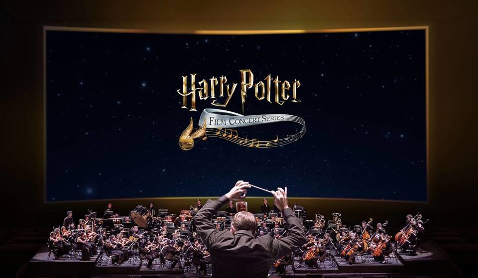 Harry Potter : l’expérience en forêt interdite 1