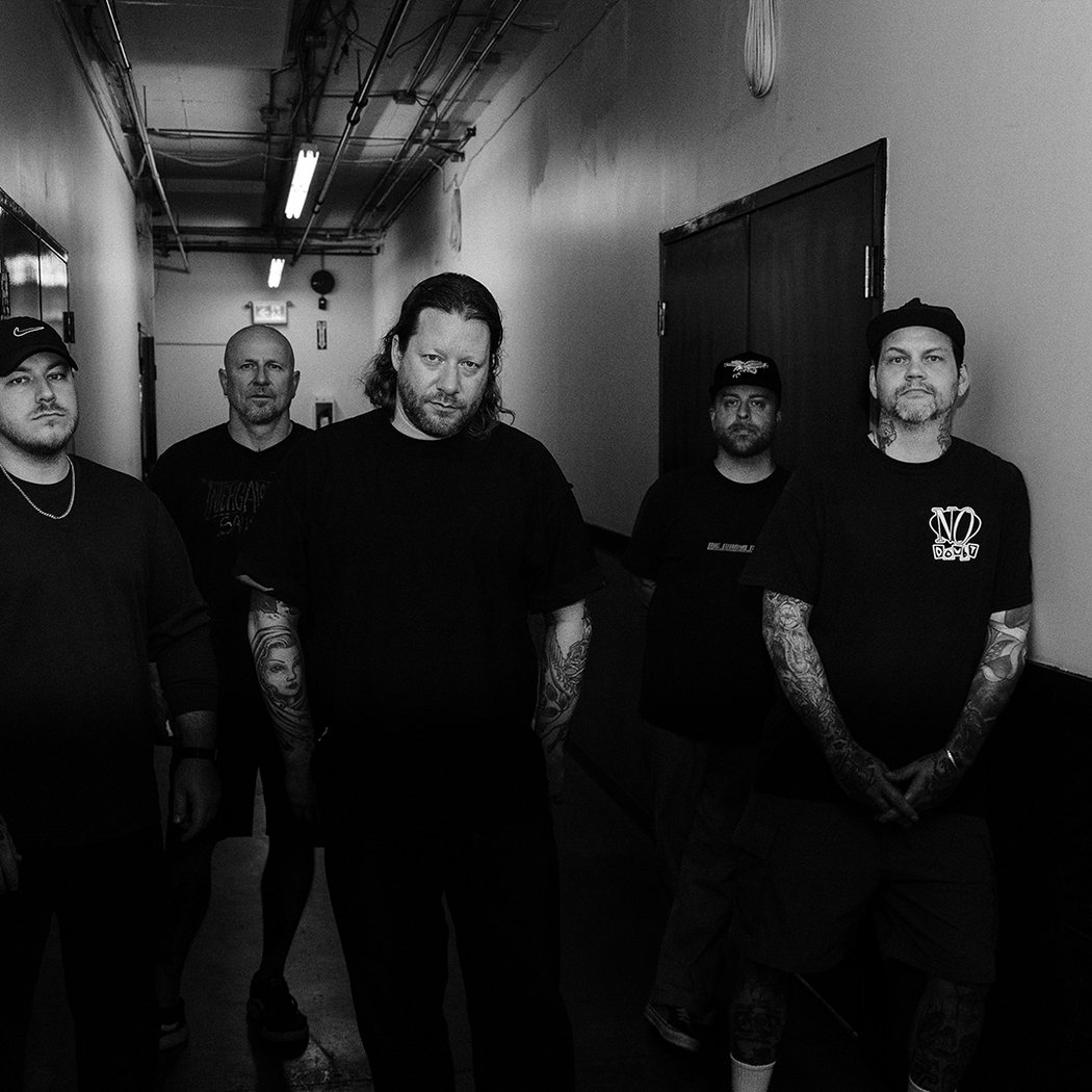 Comeback Kid 1