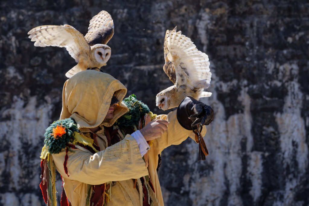 Les Aigles des Remparts