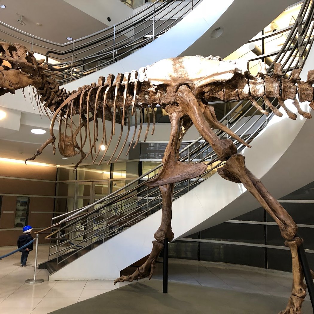Berkeley Natural History Museums 1