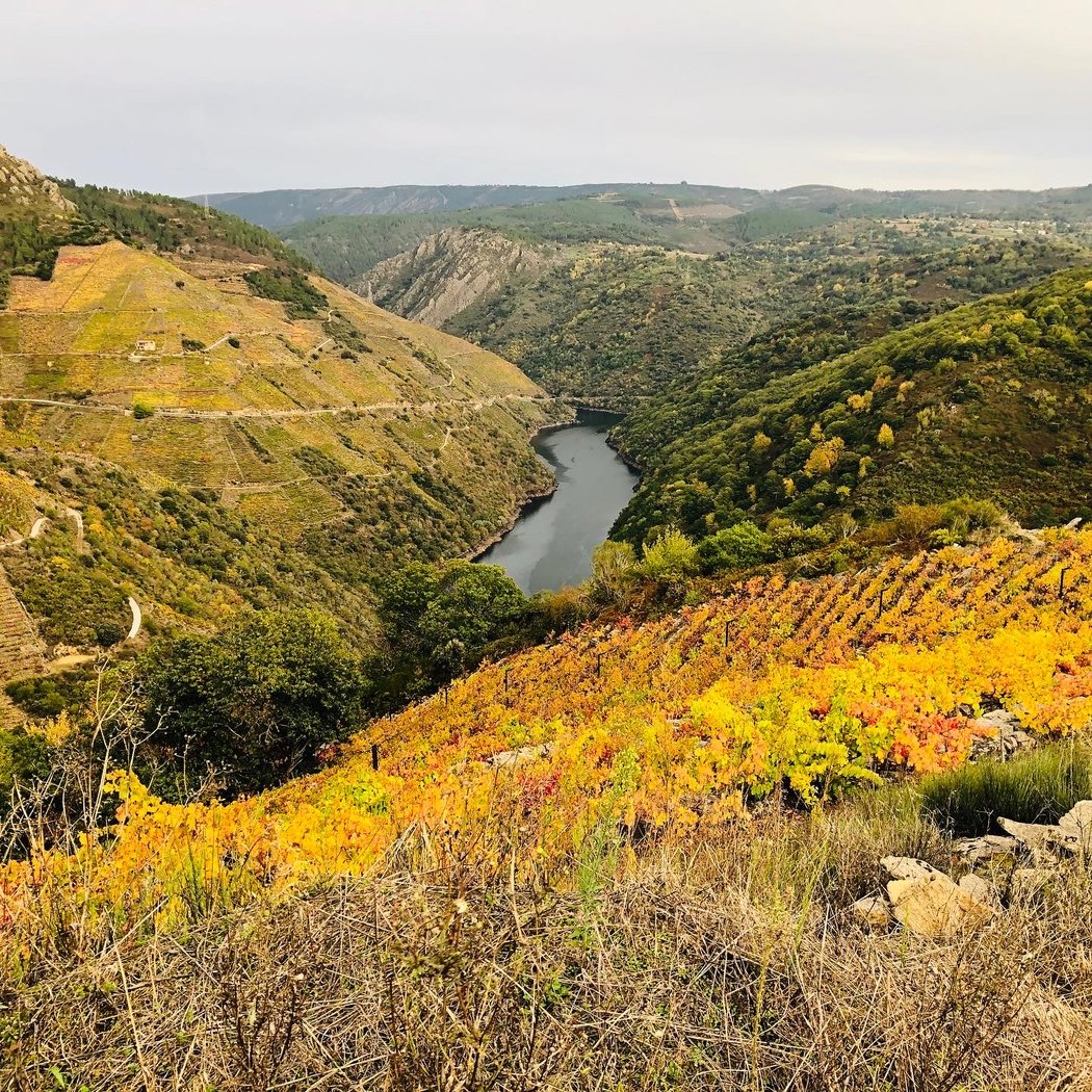 Ribeira Sacra Galicia 1
