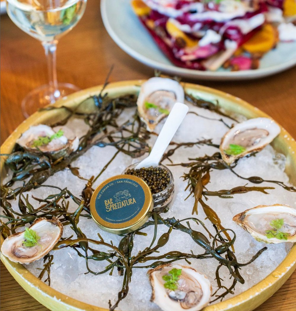 Tastemaker Dinner Series 2