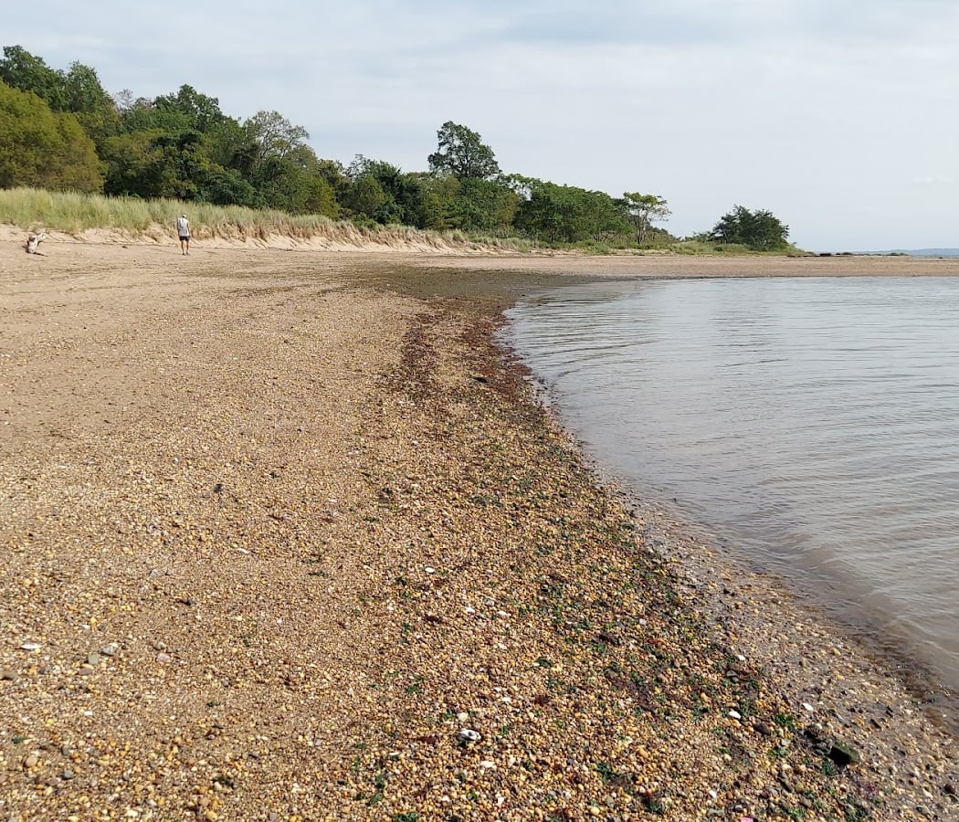 Ward's Point 1