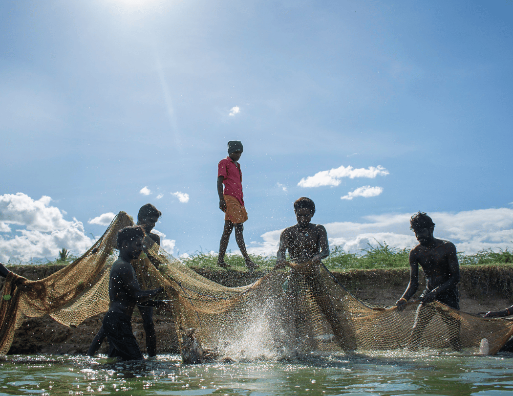 Image as Witness: Portfolio Review with Palani Kumar 1