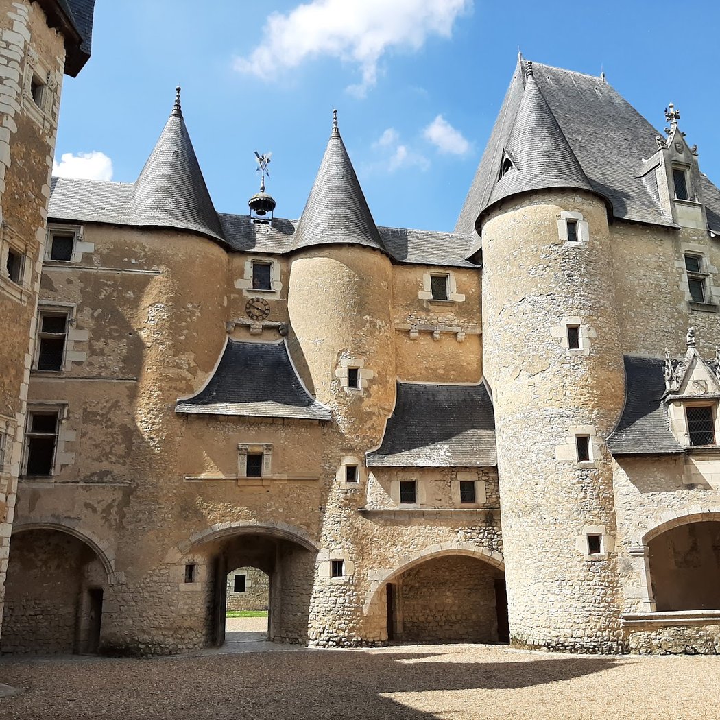 Château de Fougères-sur-Bièvre 2