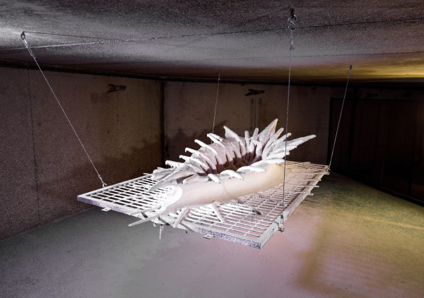 Plexusolaire