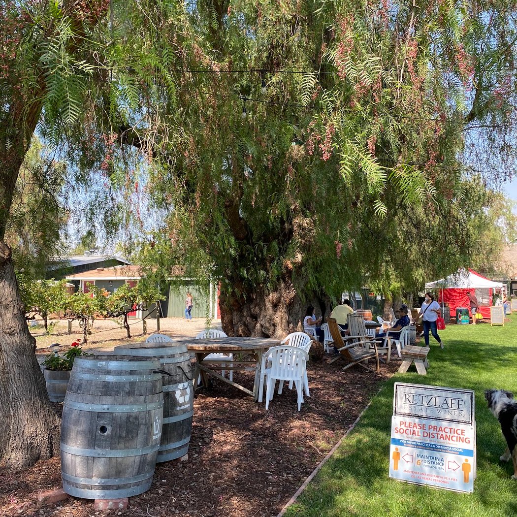 Holiday in the Vineyards Day 2: Live Music, Food, Carolers 2